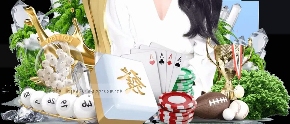 用户权益与数据隐私说明